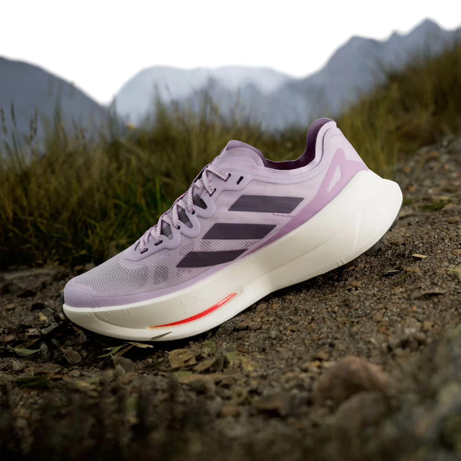 Women's Terrex Agravic Speed Ultra Trail Running Shoes Powder Plum / Aurora Plum / Lucid Red - Image 2